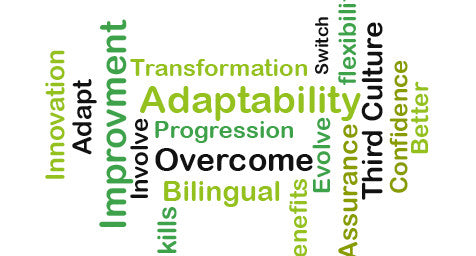 Bilingual Advantage: Boosting Adaptability