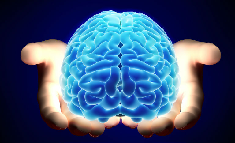 How Does The Bilingual Brain Work?