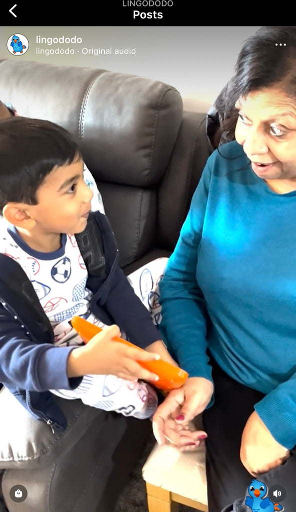 Connecting Generations: Mastering the Basics of Hindi Alphabet Learning with LingoDodo® LingoPads™