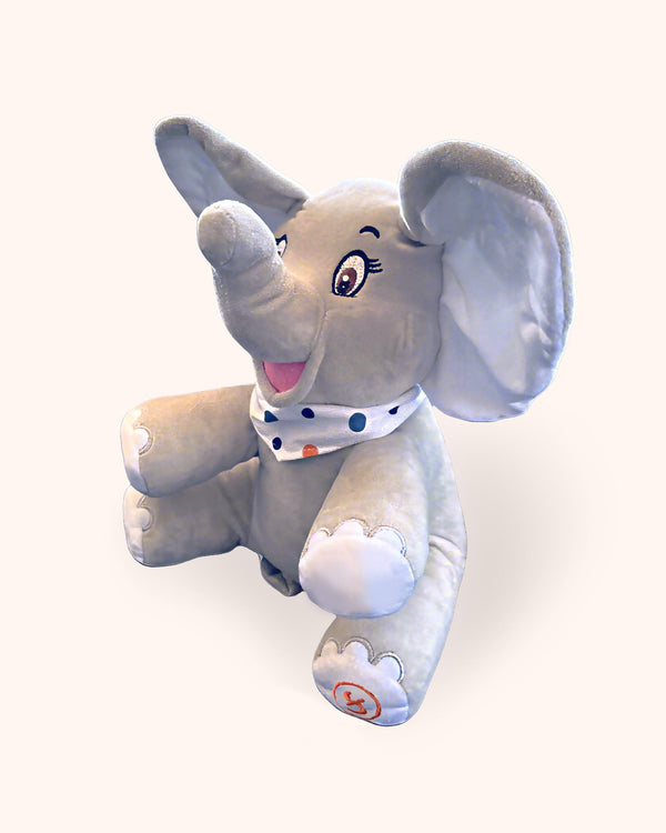 Gujarati Plush