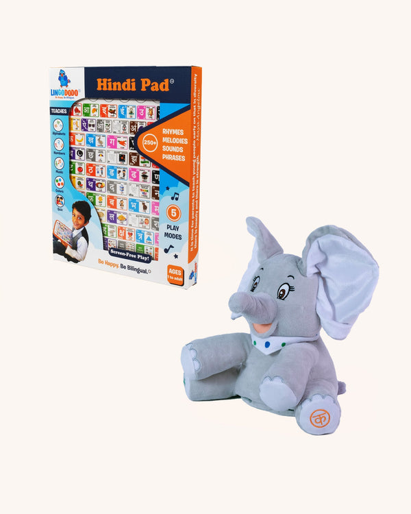 Hindi Bundle