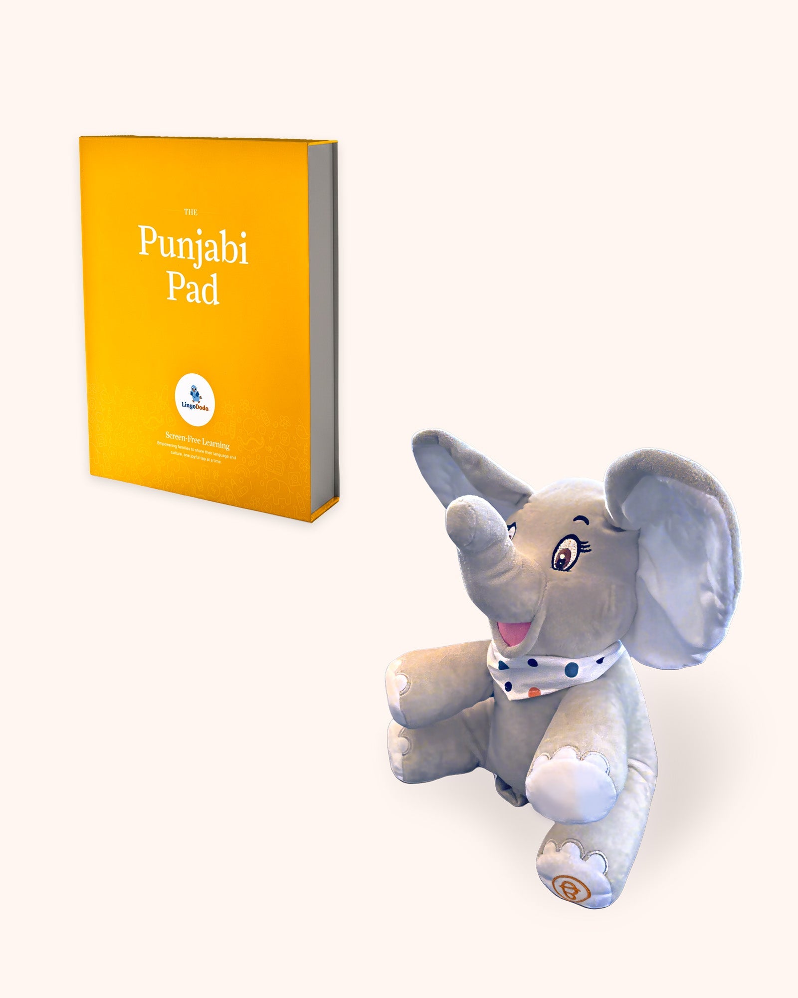 Punjabi Bundle