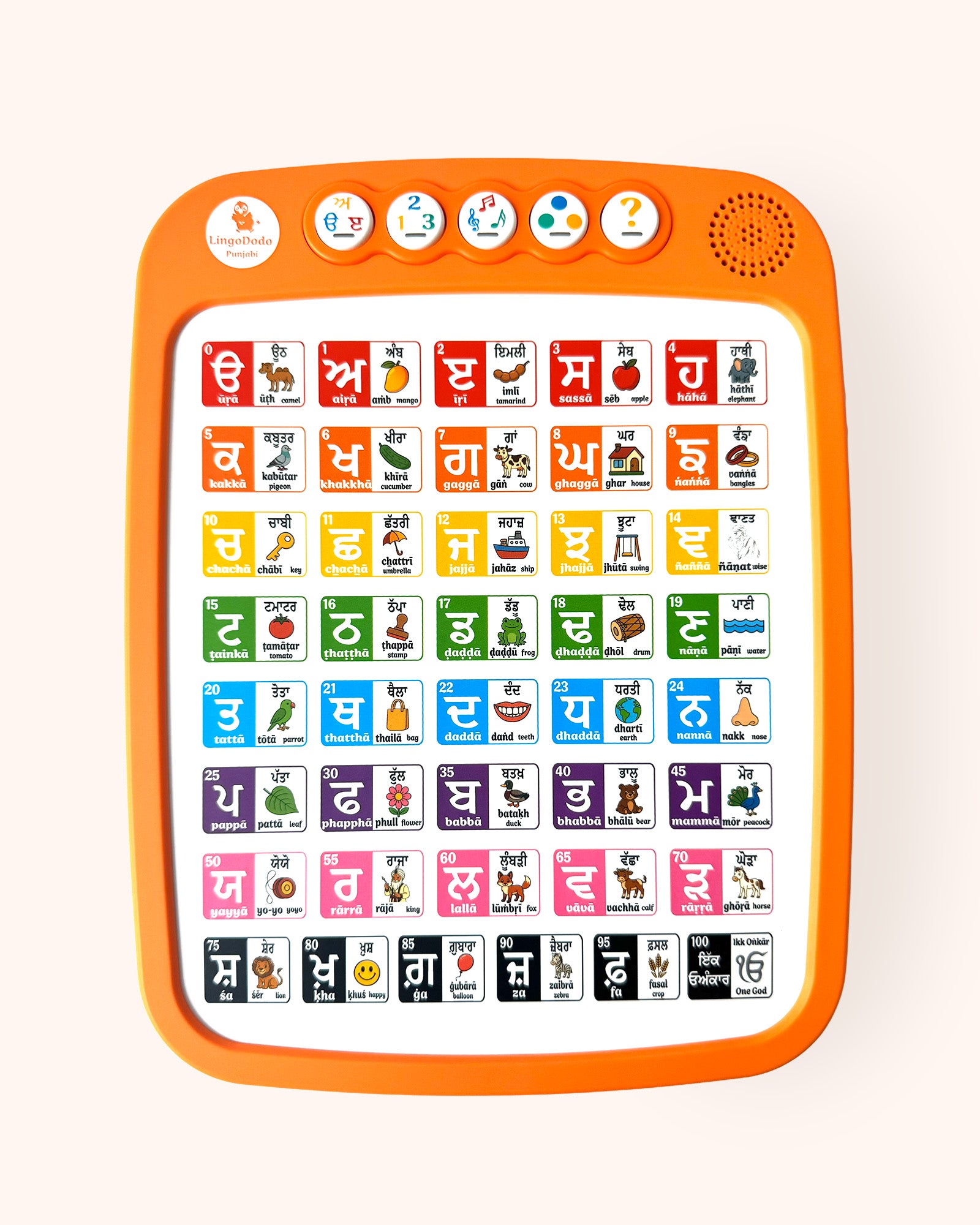 Punjabi Pad™ Next-Gen