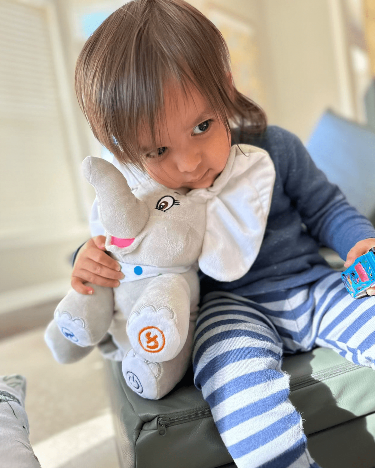 Two Dikku™ Gujarati-speaking Elephants Get 2nd 35% Off