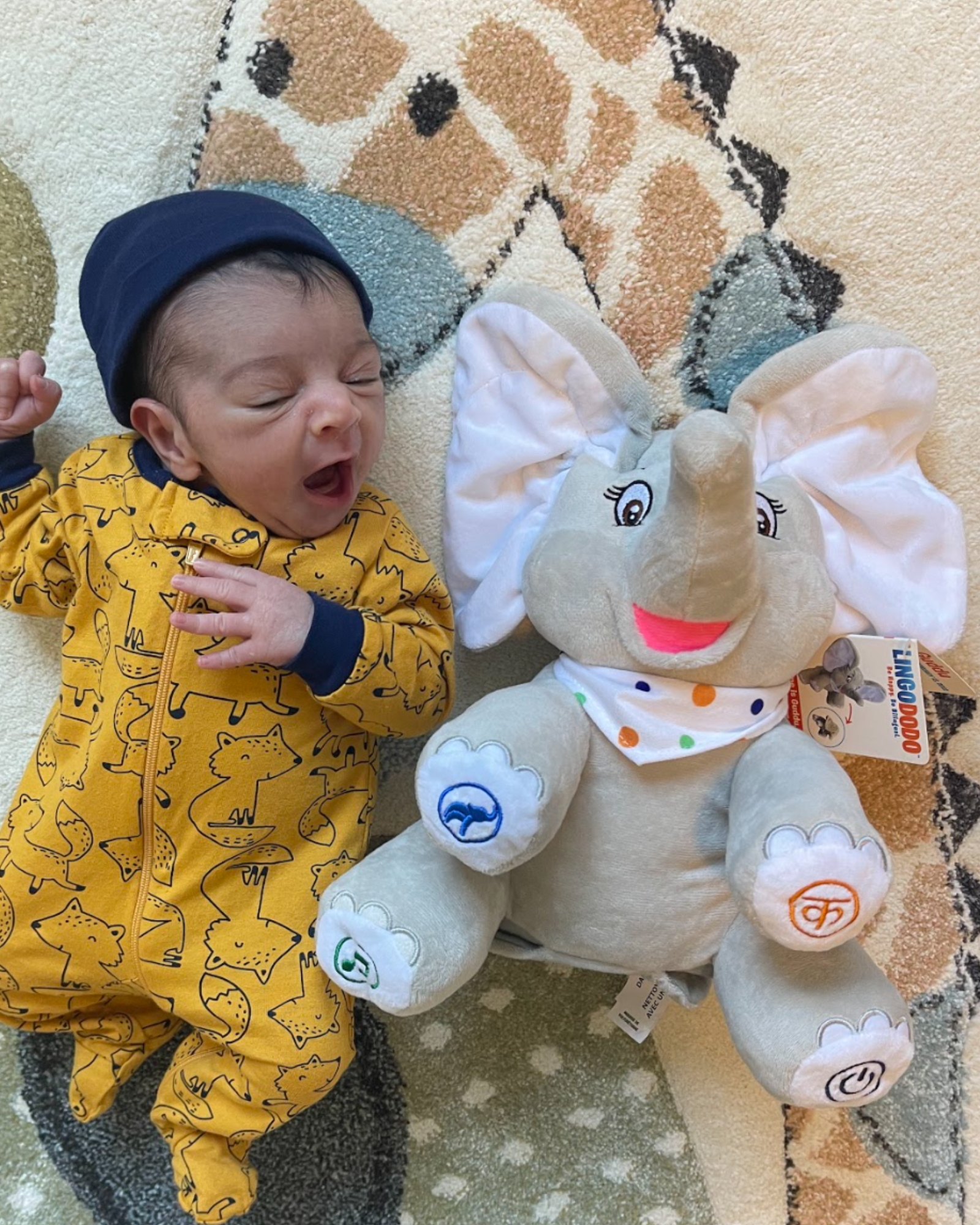 Guddu™ Hindi-speaking Elephant $10 Off Today