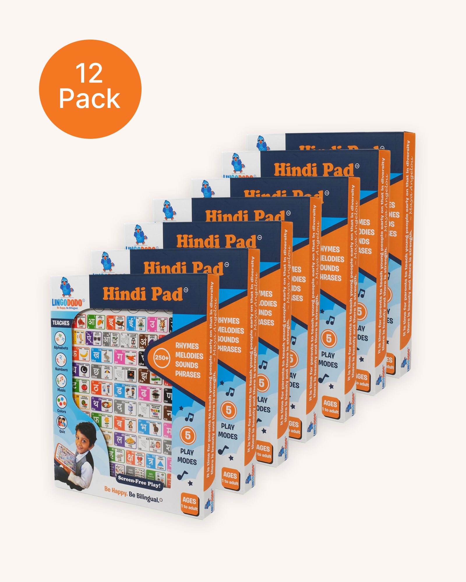 Twelve Hindi Pads