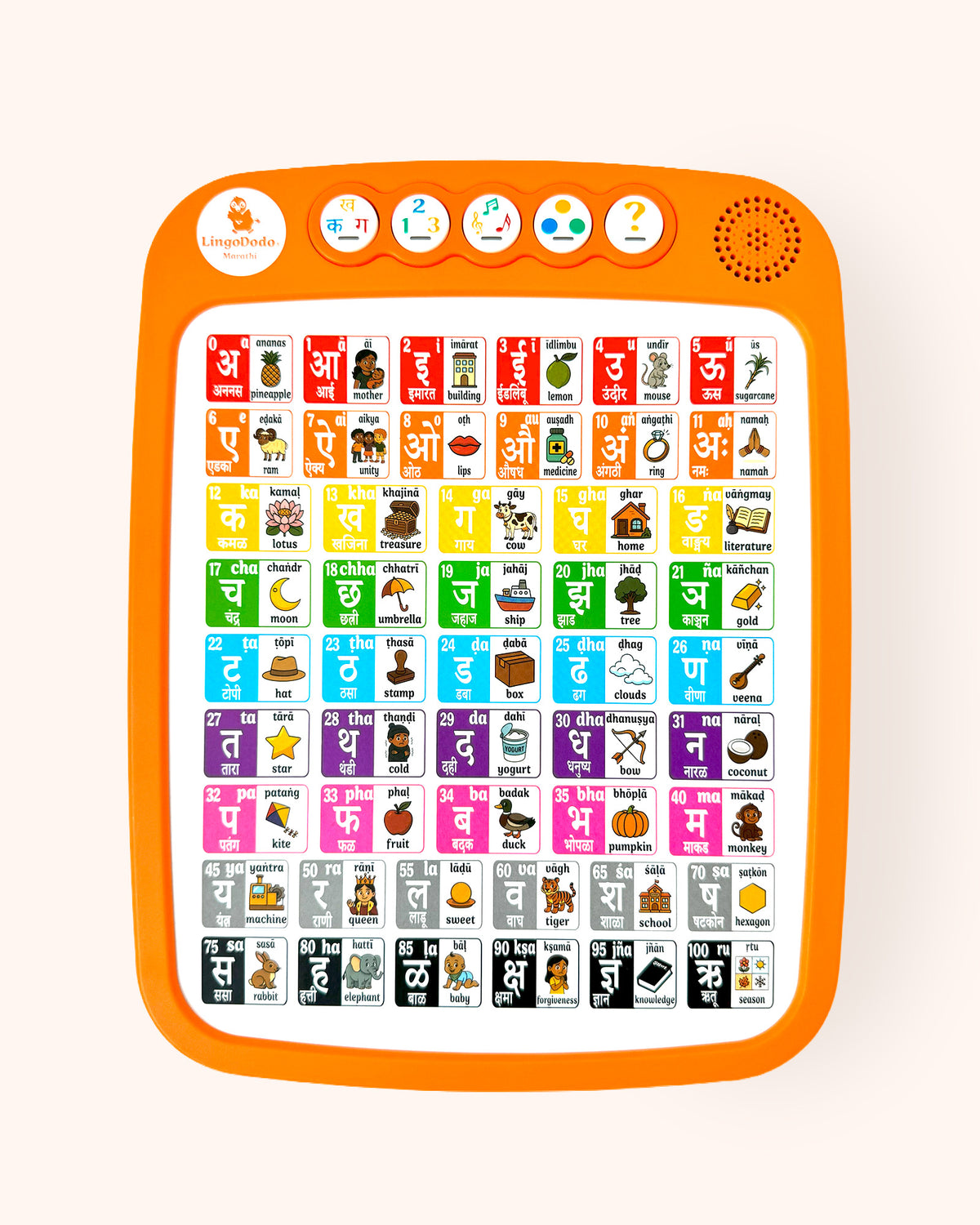 2 pads Marathi™ Édition Next-Gen